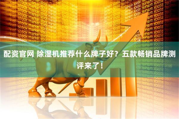 配资官网 除湿机推荐什么牌子好？五款畅销品牌测评来了！